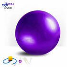 Palla della palestra della palla dell'equilibrio di yoga 22inch di esercizio 55cm della palestra della casa di colore dell'OEM per l'esercizio